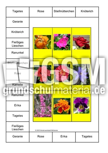 Bingo-Blumen-1A.pdf